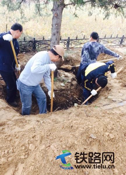 1447251164450026.jpg 1.JPG