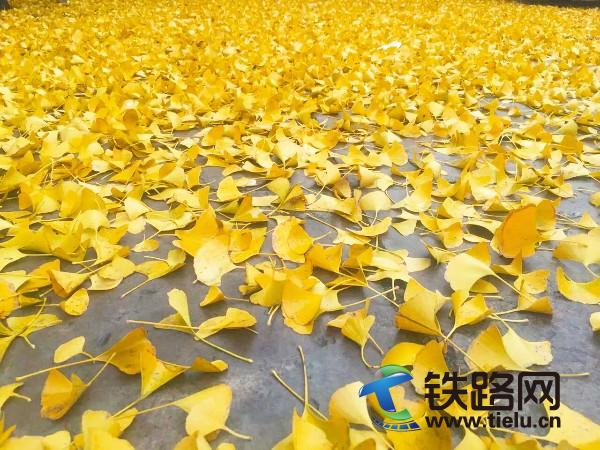 �M�ؽ��S(<a href=http://m.1dzq.com/zhongtiewuhandianqihuaju/ target=_blank class=infotextkey>���F��h늚⻯��</a>���F���޹�˾�V�ݷֹ�˾�����z).jpg