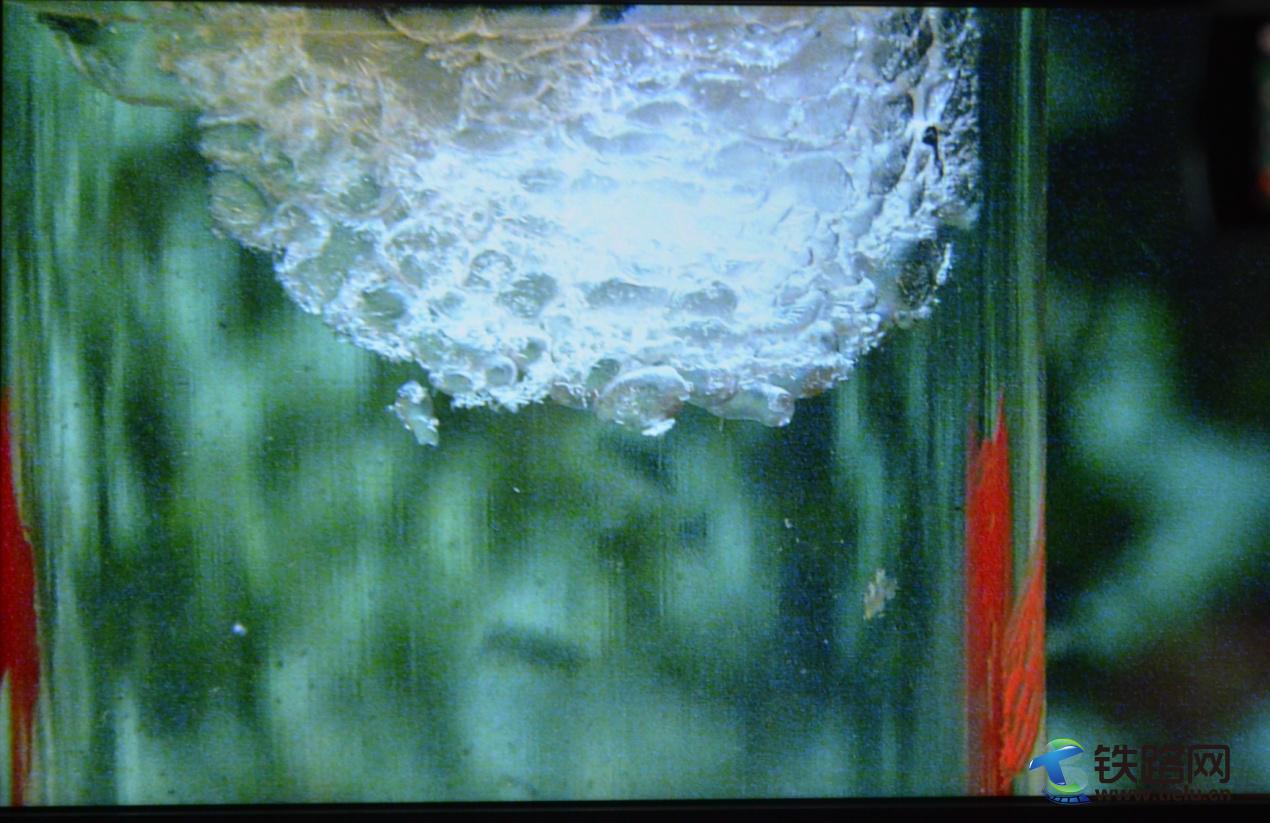 1497519129544524.jpg 2.jpg