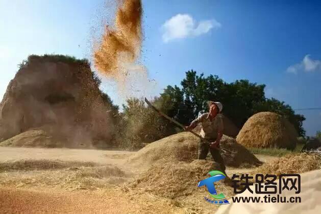 1497710698433674.jpg 1.jpg