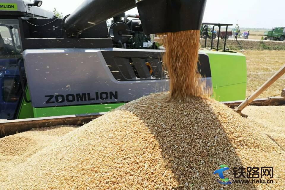 1497710731122205.jpg 2.jpg