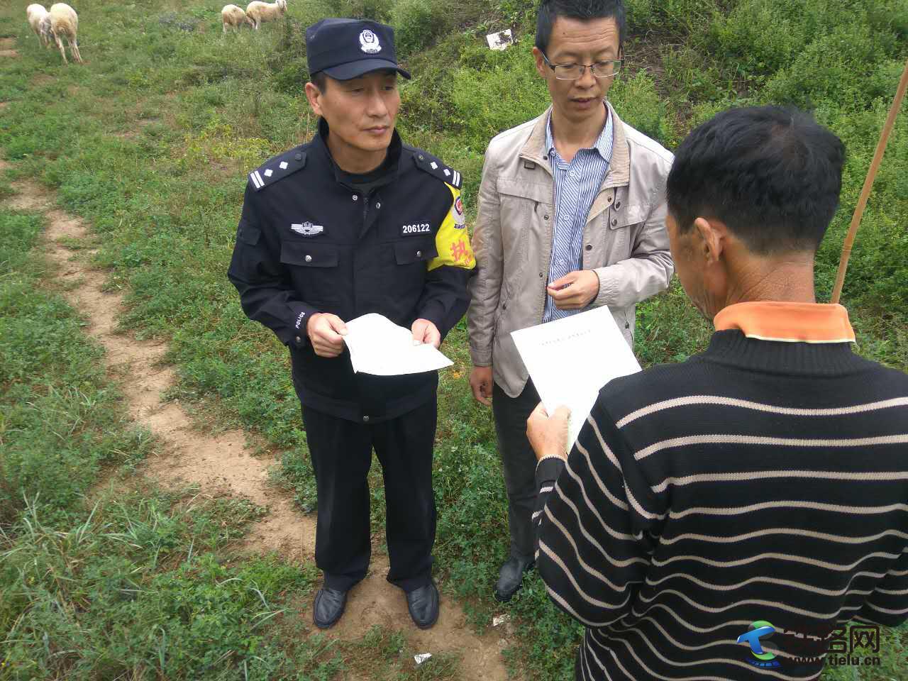 1507274984112033.jpg 1.jpg