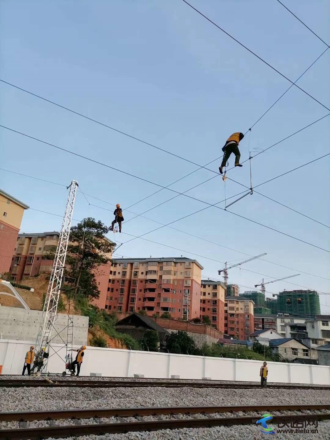 1597566439211974.jpg IMG_3356.jpg