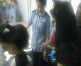  �ļ���܇ʳ�������֔��