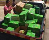 ��ϵ���������Fʮ�˾ּ��F�dȪ�F·�Ŀ���_չ2017��