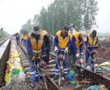 �����̎D�ͱ��� �������ֶ��\���a(ch��n)