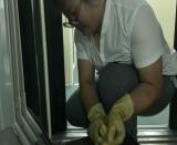  ���c��܇���������α��l��