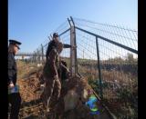 �̶��������ؾ��_չ��·�[���Ų鼰��·�o·��������