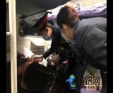 幫助他人,如夏花之燦爛