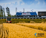 鐵龍馳騁助糧歸:鐵路編織秋收金色脈絡(luò)