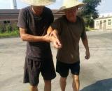 <strong>������˾�_չ������ݾ�</strong>