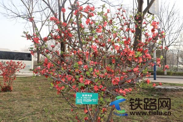 ȫ���Ը� ȫ�����o(h��)����FԺ���ڱ����c��ȫ���l(w��i)̎�A�M